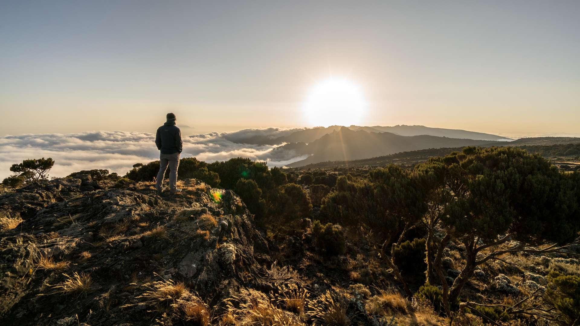 Kilimanjaro Routen