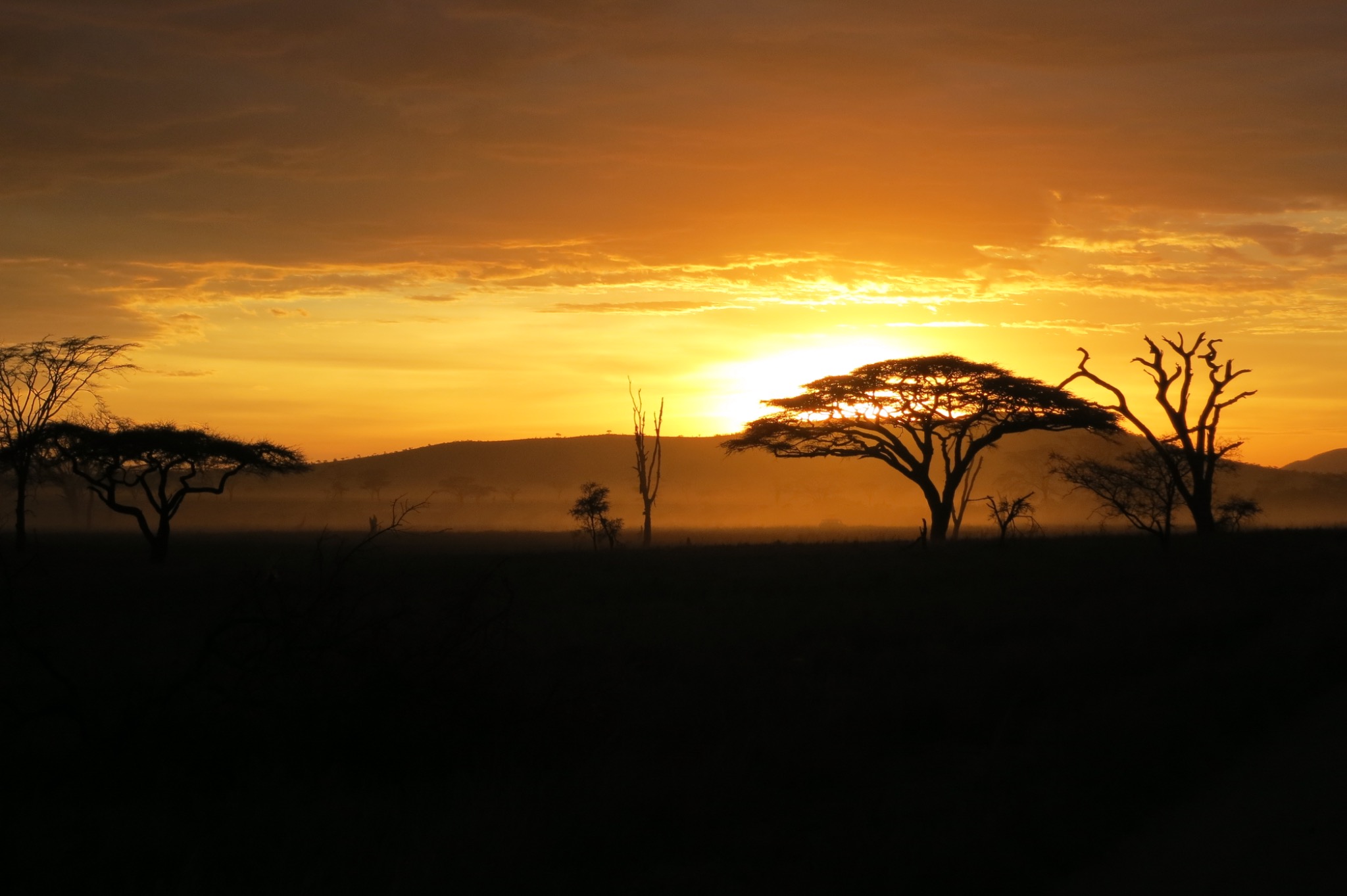 Nationalparks Tansania