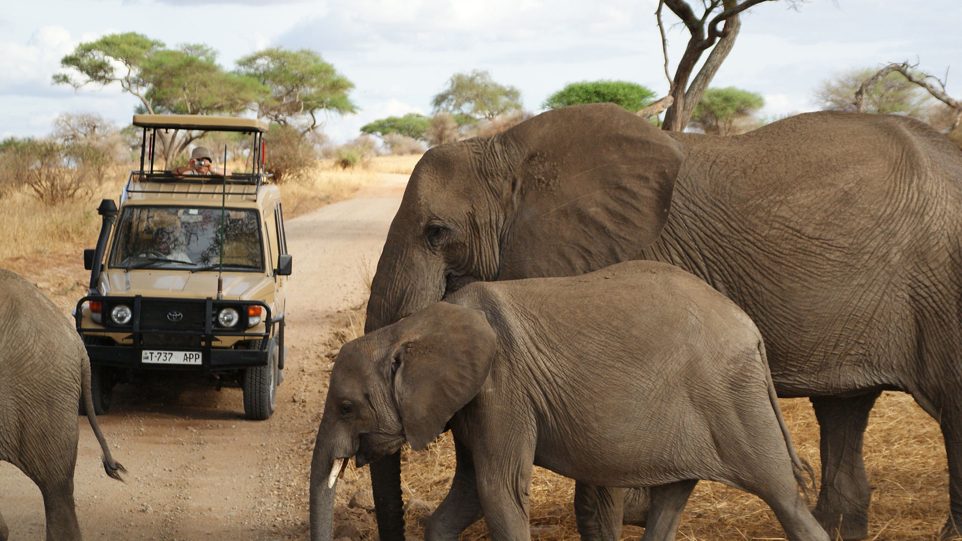Safari mit Kindern